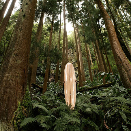 Off the Hook Fish: Azorean Breklim Surfboard