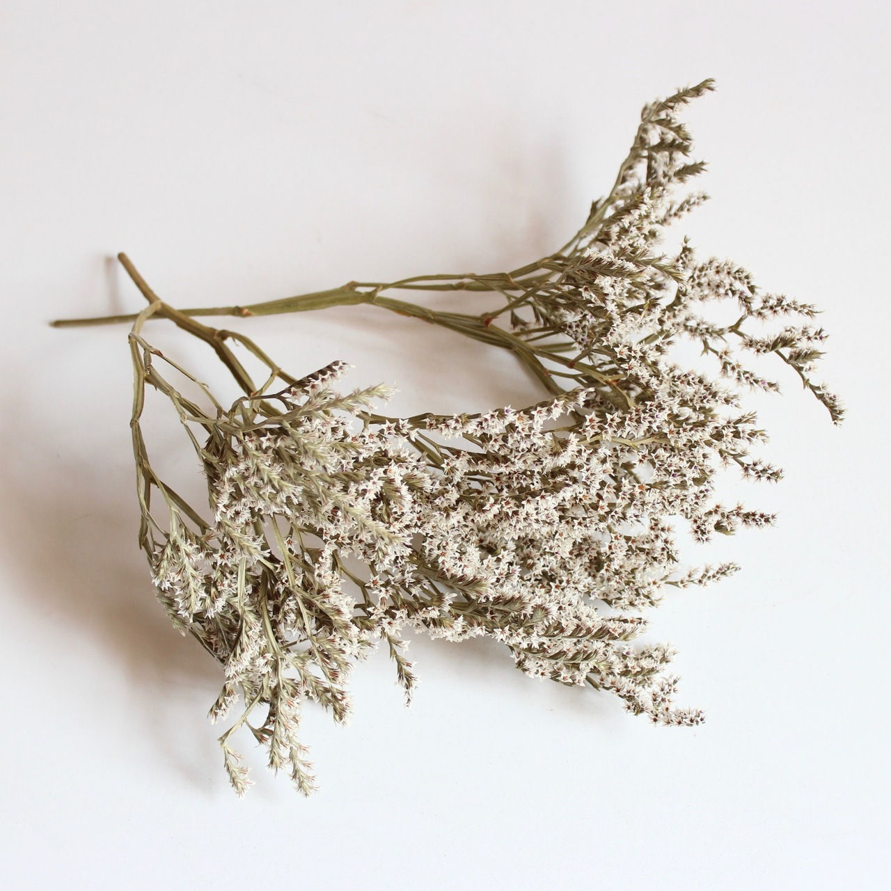 dried bundle of german statice