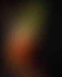 a bloody mary against a black background