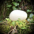 a white bar of soap on a woodland floor