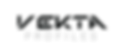 Securlite Logo.jpg