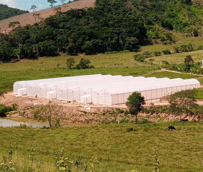 f0742a55-daca-433e-b87c-47c3a39ef4dd (1).jfif