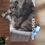 Thumbnail: Rubber Yoga Mat - Wrowr!  Warrior Goddess Kitty!  - 5309 Designs