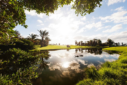 golf_golf del sur_san miguel_GOLFDELSUR0010 Groot.jpeg