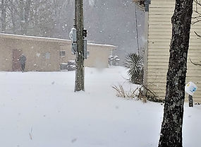 2021 FEB SNOWFALL (2).jpg
