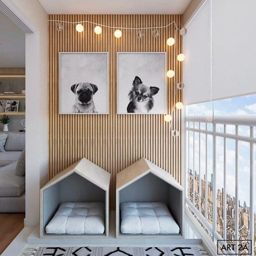 Spazio per animali nell’architettura e interior design: come progettare una casa pet-friendly