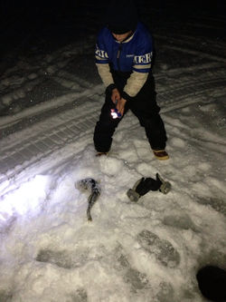 8366329744_c1b186d30a_o