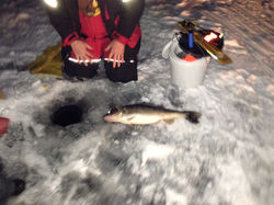 8365256883_6df9671b34_o