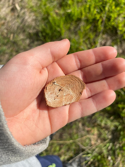 charlie circle bark.jpg