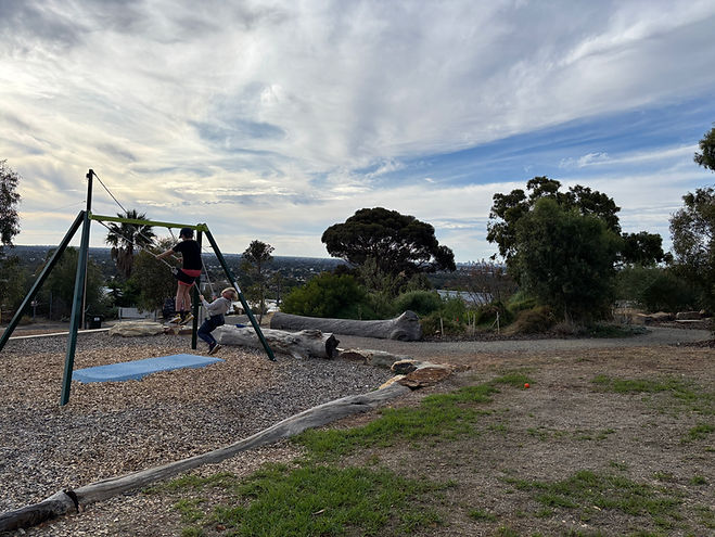 kids swings reserve.JPG
