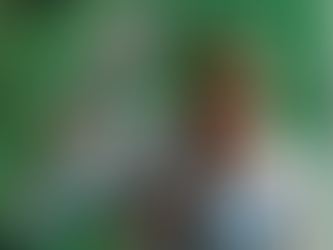 Grand Prix du Mexique