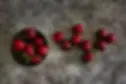 Cherry image for website-unsplash.jpg