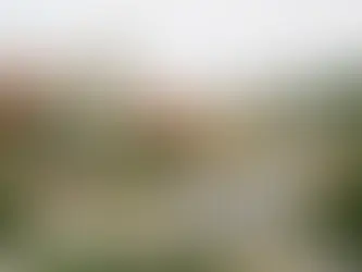 Vacation Rental Homes in La Jolla CA: What Owners Miss