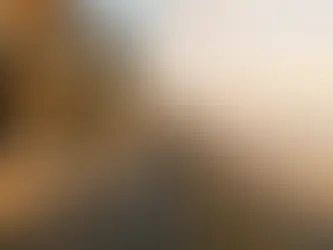 Mission Beach Vacation Rental Management: A Local's Honest Take