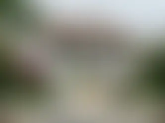 How Much Can I Make on Airbnb in Encinitas, CA