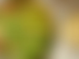 Homemade Vegan Caesar Dressing