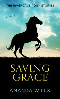 Saving Grace ebook cover NEW Jan 2026.jpg