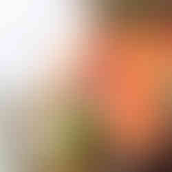 Best Place to Dine Tauranga The Strand