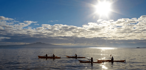 Day Sea Kayak Tour to Rangitoto Island 
