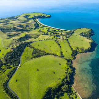 Shakespear Regional Park 3
