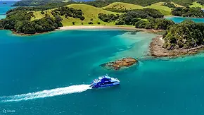 Cream Trip Super Cruise and Otehei Bay Tour from Bay of Islands