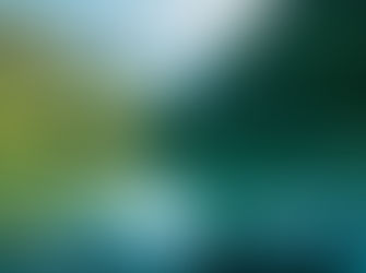 The Magnificent Routeburn Track - Queenstown