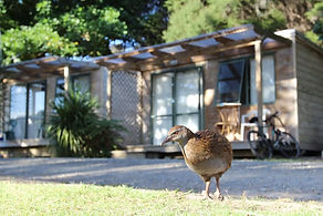 Queenstown Wine Tours