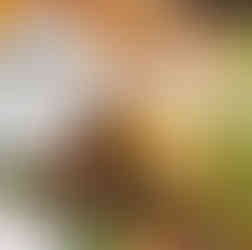 Where to eat at The Strand Tauranga