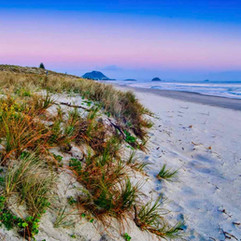 Tauranga Beach2