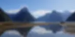 Milford Sound Foreshore Walk - What to Do in Milford Sound When You Don’t Go on a Cruise