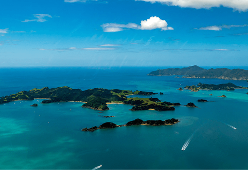 Bay of Islands Small Group Tour 