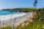 Tāwharanui Regional Par
