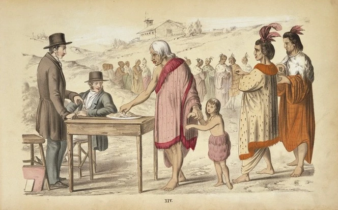 Treaty of Waitangi Image