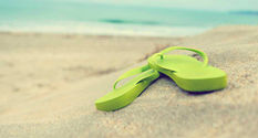 Summer Family Activities in New Zealand