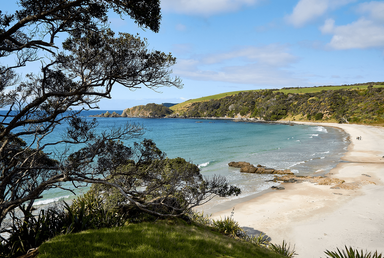 Tawharanui Regional Park Image 3