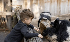 Willowbank Wildlife Reserve Admission Ticket