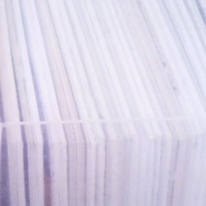 Alveolus