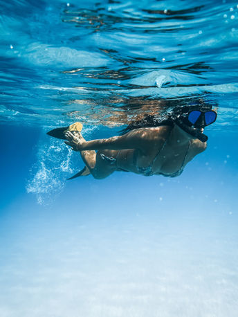 snorkel