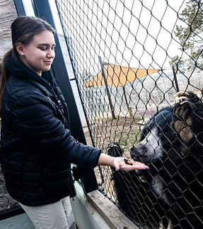 Screenshot 2026-03-26 at 2.53.09 PM.png