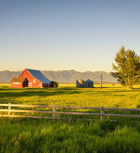 istockphoto-863542630-612x612.jpg