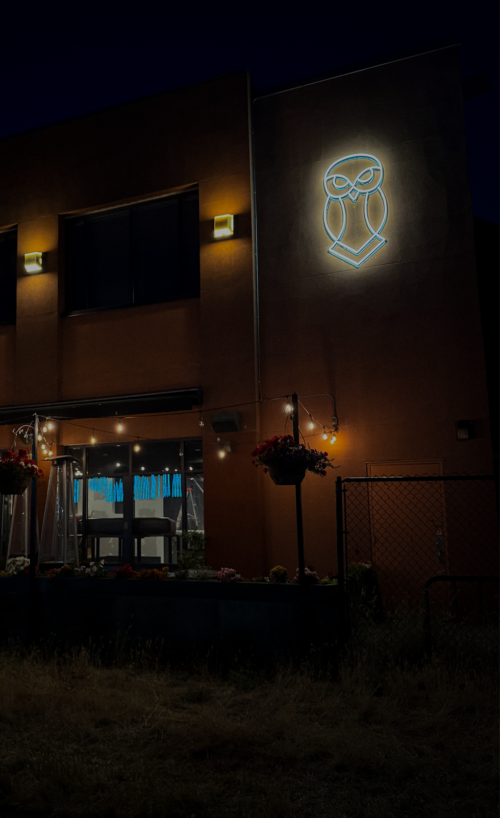 Night Owl_edited.png