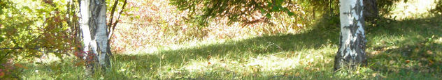 Leben und Tod