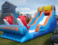 waterslides