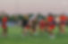 BS2A3383.jpg