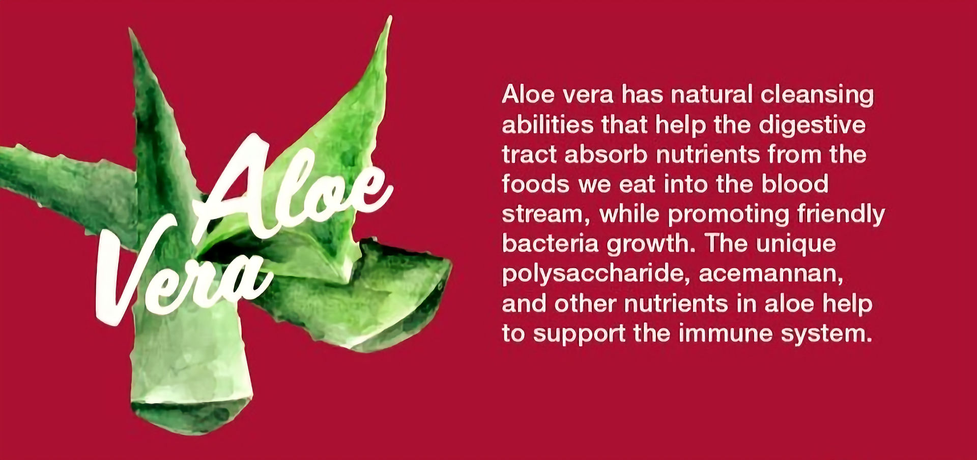 Aloe BerryNectar