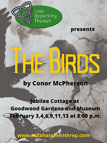 The Birds Posters.png