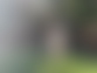 Molly | Pitbull Mix | Redondo Beach, CA | In- Training