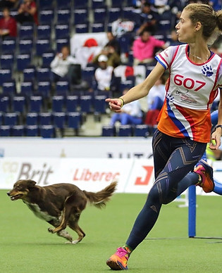 Agility_teammembers