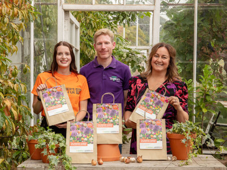 Dobbies’ new bulbs in partnership with Alzheimer’s Research UK