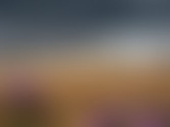 Arbikie opens pre orders for its first single malt, following Davos tastings